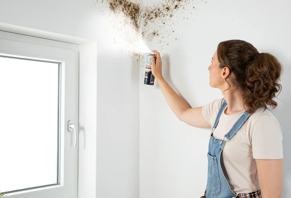 MoldShock - 5+1-Set (6x 300 ml) for 9 m²